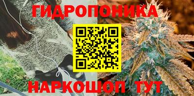 альфа пвп Владивосток